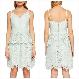 Ted Baker Nadiie Lace Peplum Dress size 12 NWT
